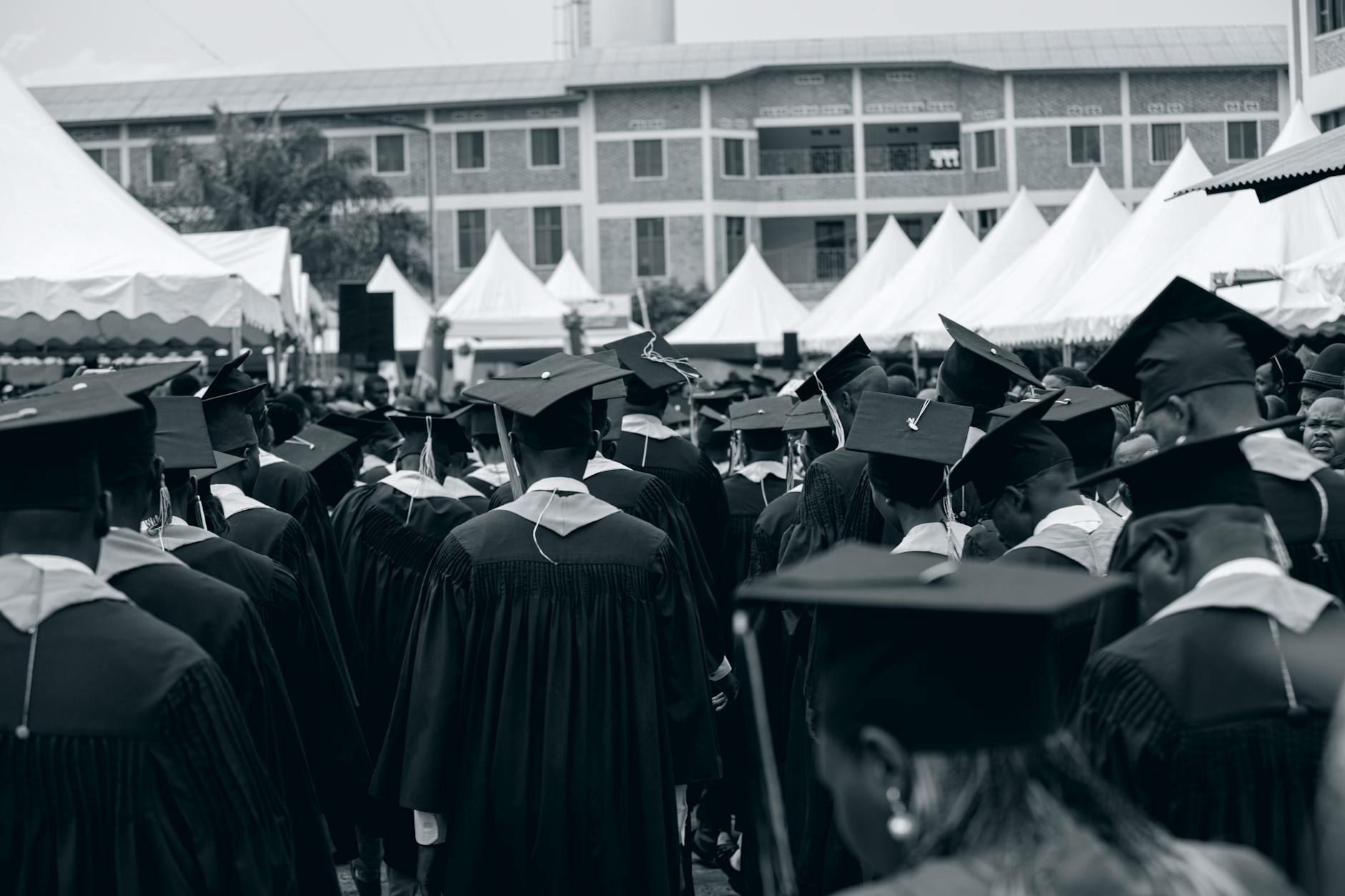 montana scholarships