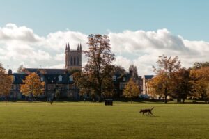transfer scholarships