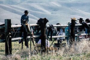 cowboy scholarship